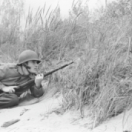 75 ans après, le jour le plus long série documentaire historique TOUTE L'HISTOIRE