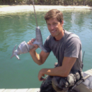 Sharktopus vs Pteracuda téléfilm horreur MCM