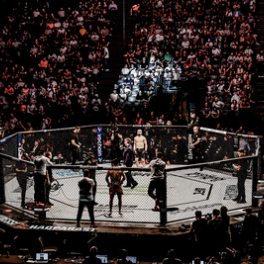 UFC Classiques sport L'EQUIPE 21