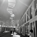 Étudiantes en terrain miné documentaire société PUBLIC SENAT - LCP AN