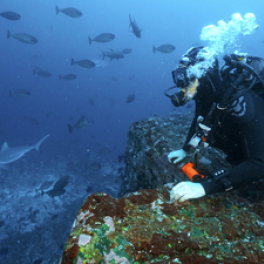 Jérôme, les yeux dans le bleu série documentaire découverte CANAL +
