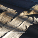 L'ombre d'un doute magazine historique HISTOIRE