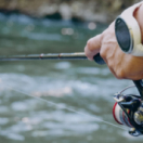 JPCV, Arnaud Brière sur Seine : multi-carnas et onglet de Bl documentaire nature CHASSE & PECHE