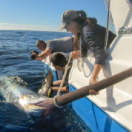 Fish Forever série documentaire nature CHASSE & PECHE