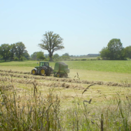 L'abattoir idéal, une histoire d'éleveurs documentaire société FRANCE 3