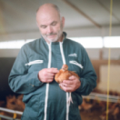 L'amour est dans le pré reality-tv M6