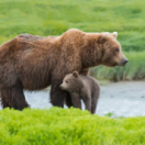 Découvrir le monde docureeks ontdekking USHUAIA TV