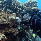 Faites entrer la nature documentaire ontdekking USHUAIA TV