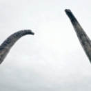 L'autre monde des dinosaures documentaire science et technique FRANCE 5