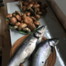 Les globe-pêcheurs au Groenland documentaire nature CHASSE & PECHE