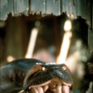 Anaconda film thriller VTM4