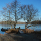 Jigging givré et carna du Limousin avec Arnaud Landrieu... et et Francis Lalame ! documentaire nature CHASSE & PECHE