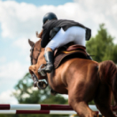 CHI de Genève sport equitation RTS DEUX