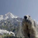 L'Europe sauvage docureeks natuur USHUAIA TV