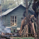 Dian Fossey, la femme-gorille documentaire animalier ARTE