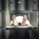 Faites entrer l'accusé magazine - duiding samenleving RMC DECOUVERTE