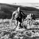 Commando en Corée film oorlog CINE + CLASSIC BE