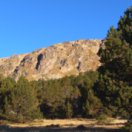 Les secrets du gibier de montagne documentaire nature CHASSE & PECHE