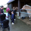 Super Nanny téléréalité TFX