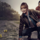 Harry Wild serie/feuilleton misdaad 13EME RUE