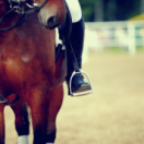 À toute allure ! magazine - duiding sport L'EQUIPE 21