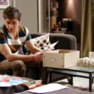 Thuis serie/feuilleton dramatische komedie EEN