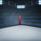 WWE : les rivalités de légende série documentaire sport AB1