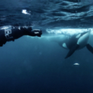 Objectif Wild docureeks natuur USHUAIA TV