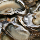 Les carnets de Julie magazine culinaire CHASSE & PECHE