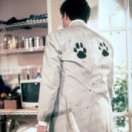 Beethoven film comédie LA TROIS