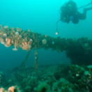 Mysterious Islands série documentaire société NATIONAL GEOGRAPHIC CHANNEL