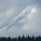 Yukon, un rêve blanc documentaire animalier USHUAIA TV