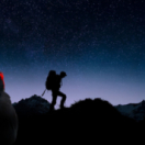 Nos amis sauvages docureeks natuur ANIMAUX