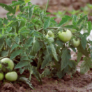 Pas de repos pour Marco documentaire société FRANCE 3