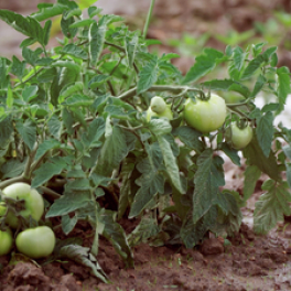 Pas de repos pour Marco documentaire société FRANCE 3