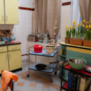 Être une femme dans les années 60 : la grande expérience divertissement M6