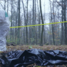 Sans issue : la tuerie de Chevaline série documentaire société TIPIK