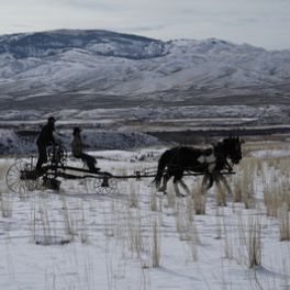 Seuls face à l'Alaska téléréalité RMC DECOUVERTE