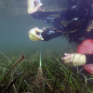 Avant que la grande nacre meure documentaire natuur USHUAIA TV