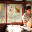 Là où chantent les écrevisses film drame TF1