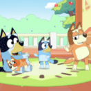 Bluey dessin animé DISNEY CHANNEL