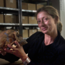 Quand Homo sapiens peupla la planète série documentaire historique PLANETE +