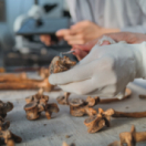 Chroniques criminelles magazine société TFX