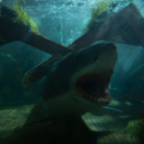 Great White film horror VTM4