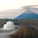 Faut pas rêver magazine nature TV5 MONDE