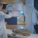 Cold cases de l'Antiquité docureeks historisch HISTOIRE