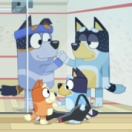 Bluey dessin animé DISNEY CHANNEL