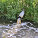 Sur le front magazine environnement FRANCE 5