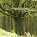 Des racines et des ailes magazine reportage TV5 MONDE