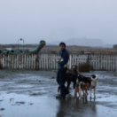 Dogman film midaaddrama VTM3